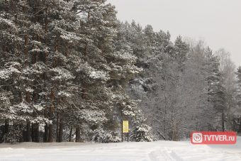Остановись, мгновение: заснеженный быт Твери Остановись, мгновение: заснеженный быт Твери