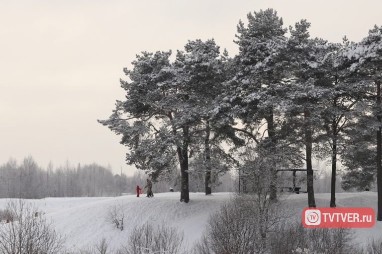 Остановись, мгновение: заснеженный быт Твери