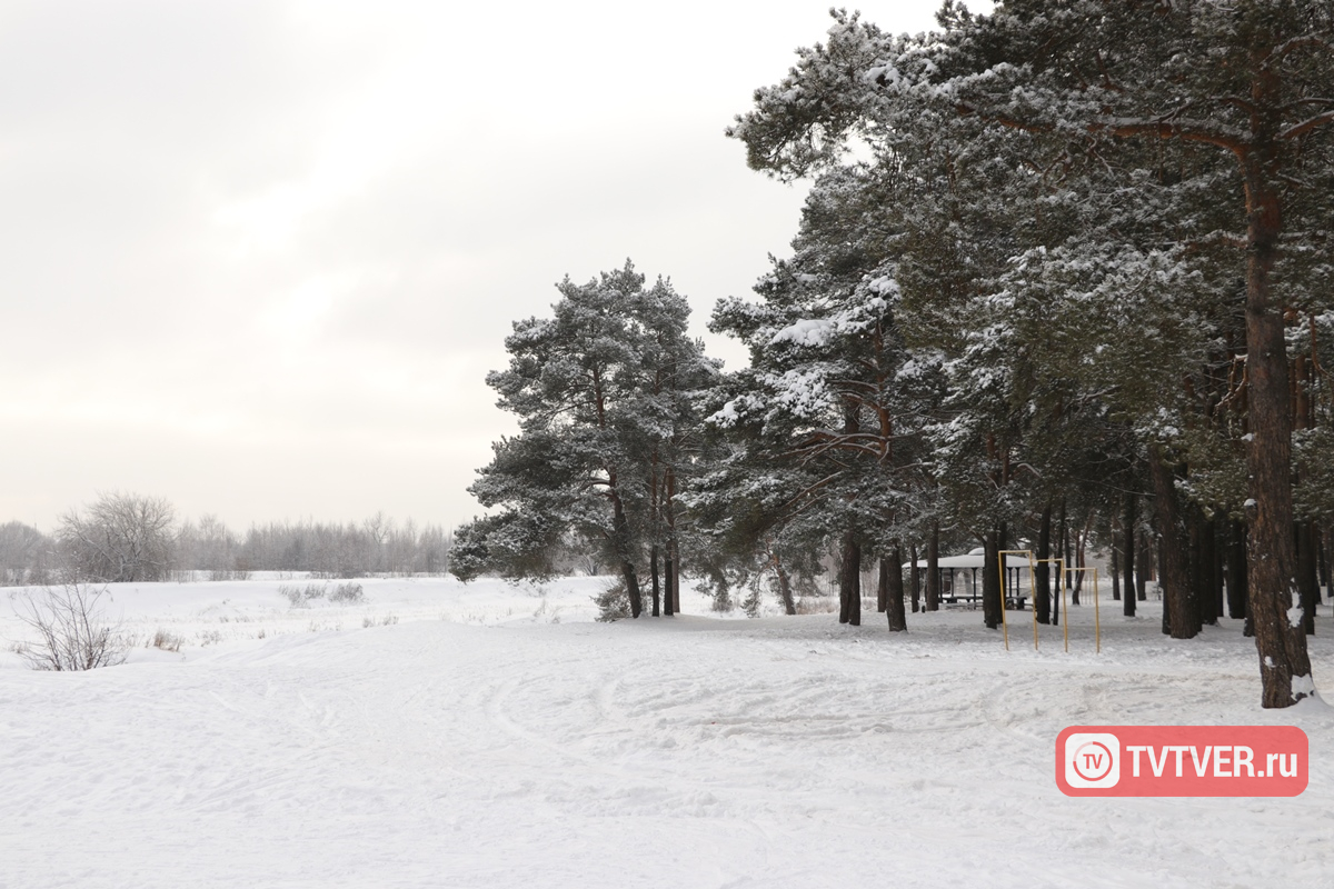 В канун Нового года в Тверской области бесследно пропала женщина