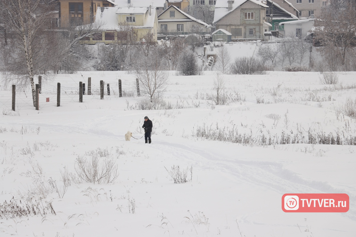 В Тверской области прекращены поиски пропавшего 40-летнего мужчины