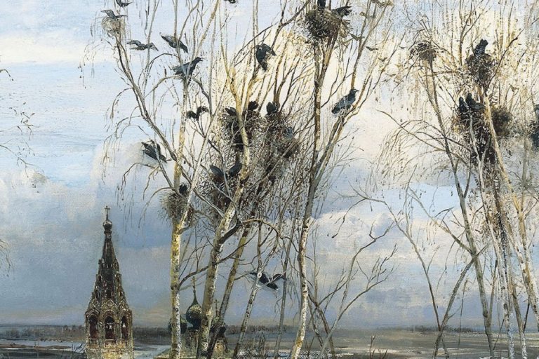 В Тверскую область вернулись грачи