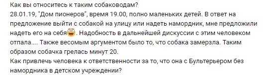 В Тверской области женщина бесцеремонно погрела бультерьера без намордника в детском учреждении