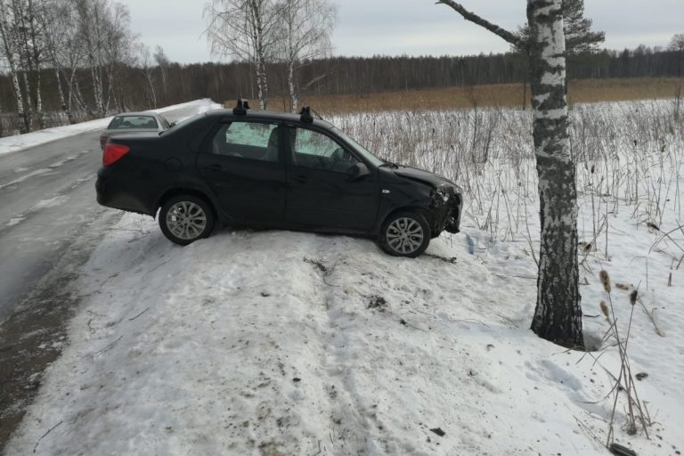 В Тверской области Datsun вылетел с дороги и врезался в дерево В Тверской области Datsun вылетел с дороги и врезался в дерево