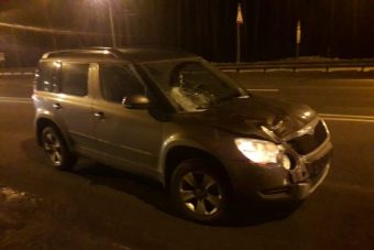 В Тверской области на М-10 сбили пешехода