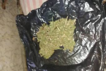 Житель Ржева хранил в гараже марихуану