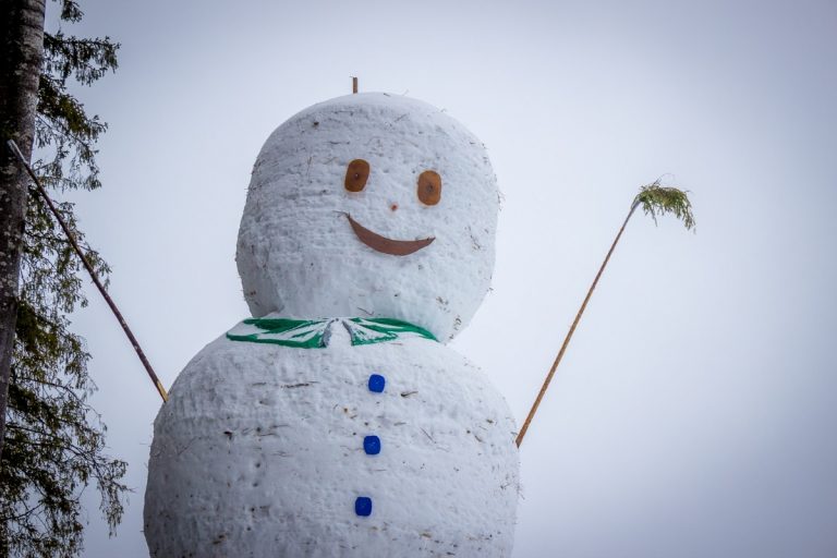 В Тверской области слепили 12-метрового снеговика