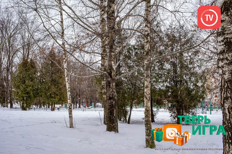 «Тверьигра»: определите по фотографии один из городских парков