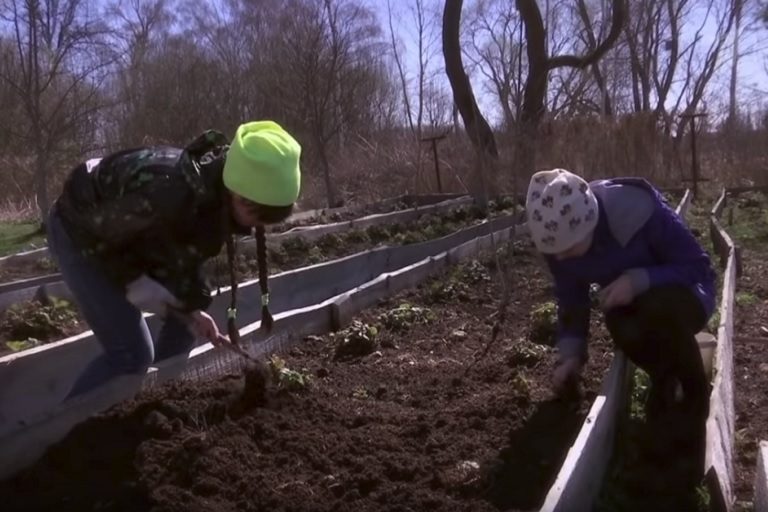 Многодетная пара из Тверской области взяла в семью двух братьев и сестренку из детского дома во Владимире