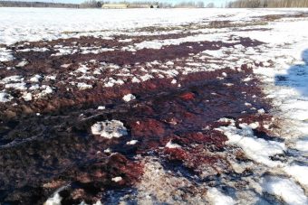 Житель Тверской области обнаружил близ Конаково поле, залитое кровью