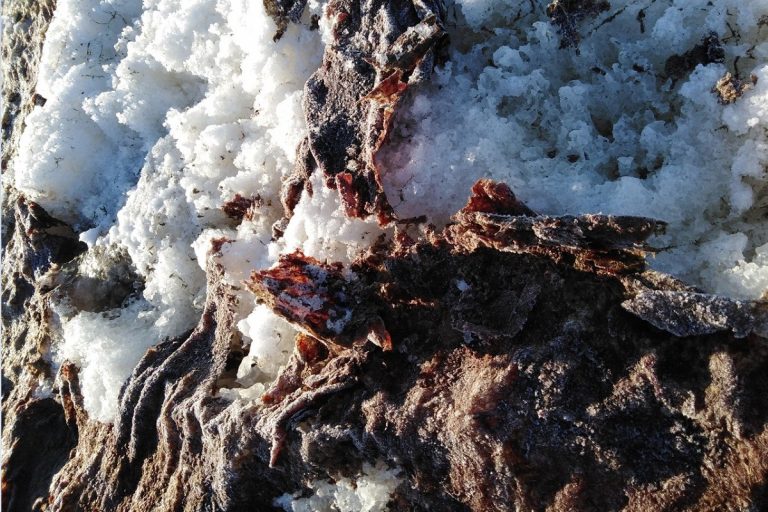 Житель Тверской области обнаружил близ Конаково поле, залитое кровью