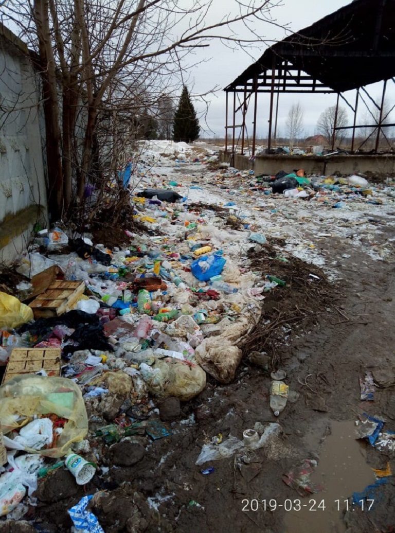 В сети опубликованы жуткие фото стихийной помойки в Тверской области