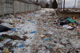 В сети опубликованы жуткие фото стихийной помойки в Тверской области