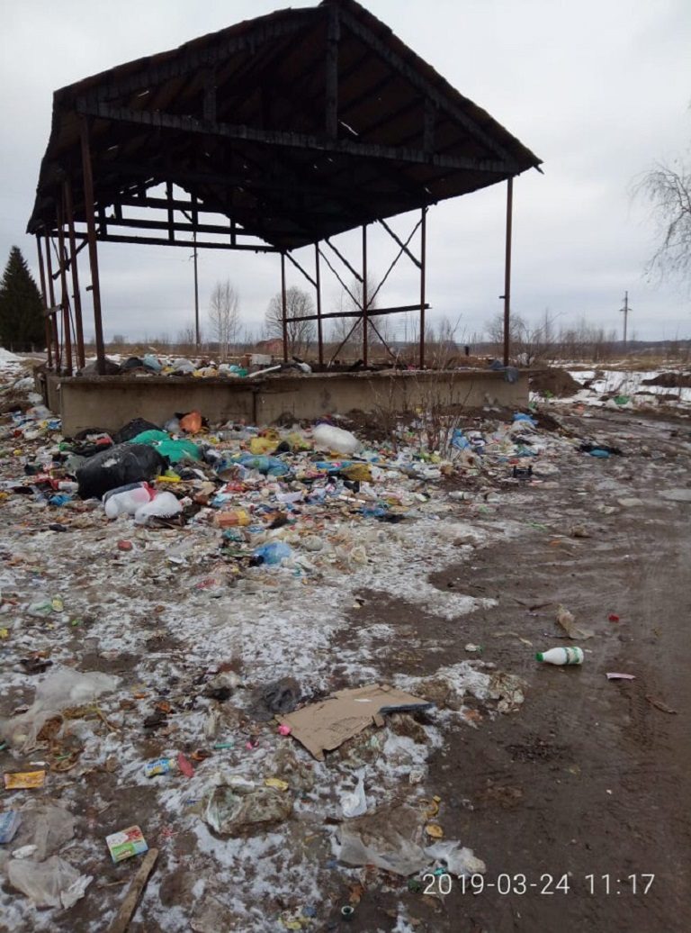 В сети опубликованы жуткие фото стихийной помойки в Тверской области