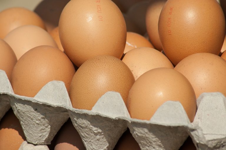 Роскачество рекомендует не обращать внимания на "органические" яйца