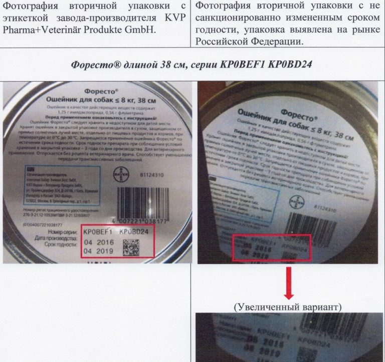В Тверской области для уничтожения ищут собачий ошейник