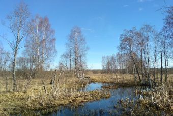 В Тверской области крупный землевладелец превратил 50 гектаров сельхозугодий неизвестно во что