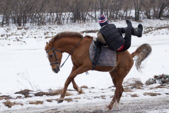 В Тверской области суд огласил приговор тренеру конно-трюковой школы, где девочка получила тяжкие травмы