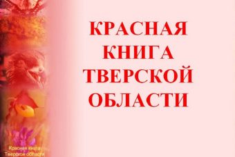 В Тверской области объявили итоги конкурса «Красная книга Тверской области глазами детей. Сохраним исчезающие виды» В Тверской области объявили итоги конкурса «Красная книга Тверской области глазами детей. Сохраним исчезающие виды»