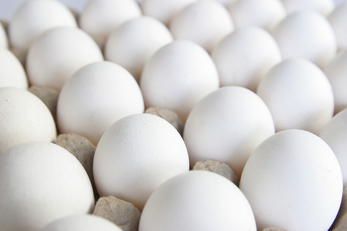 ФАС предостерегла производителей и продавцов от завышения цен на яйца к Пасхе