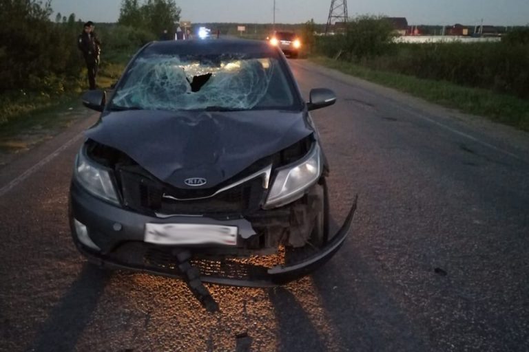 В Тверской области пешеход погиб, выскочив под колёса легковушки