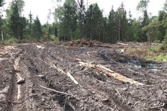 В Тверской области предприятие нанесло крупный ущерб сельхозугодьям