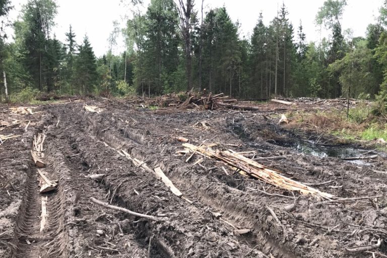 В Тверской области предприятие нанесло крупный ущерб сельхозугодьям