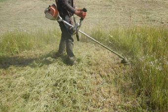 Житель Тверской области приехал к маме в Беларусь и в сердцах выпил нашатырь Житель Тверской области приехал к маме в Беларусь и в сердцах выпил нашатырь