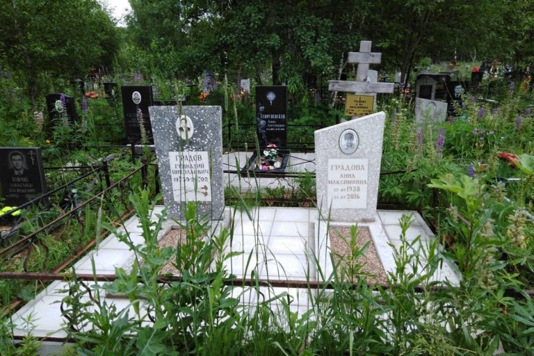 Кладбище под Тверью зарастает борщевиком