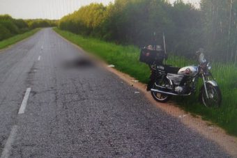 В Краснохолмском районе мотоциклист врезался в кабана