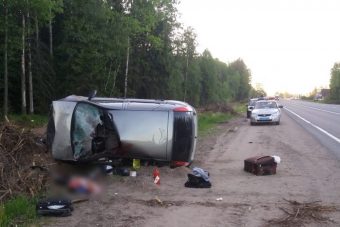 Смертельное ДТП на М-10 в Тверской области. Легковушка врезалась в лося