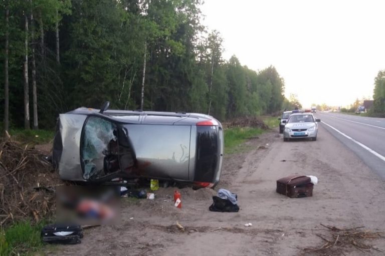 Смертельное ДТП на М-10 в Тверской области. Легковушка врезалась в лося