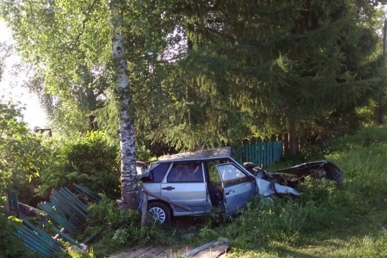 В Тверской области легковушка вылетела в кювет и врезалась в дерево