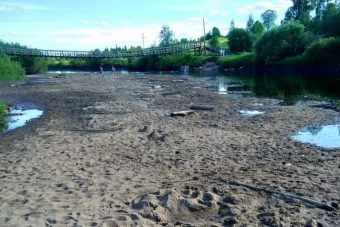В Тверской области серьезно обмелел приток Западной Двины