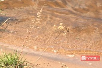 11-летняя девочка поскользнулась на берегу и утонула в водохранилище Тверской области