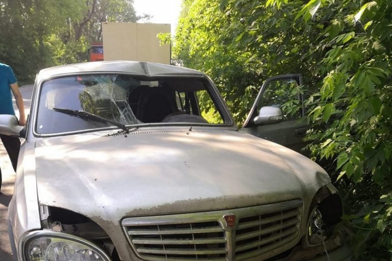 Рухнувшее дерево раздавило легковушку в Тверской области