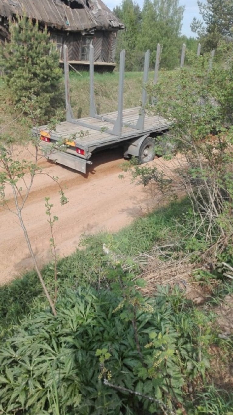 Жители Удомельского городского округа просят спасти лес и дорогу
