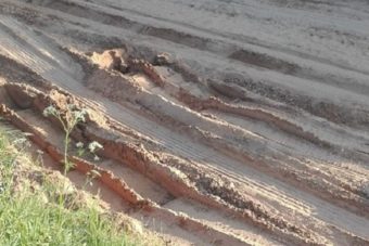 Жители Удомельского городского округа просят спасти лес и дорогу
