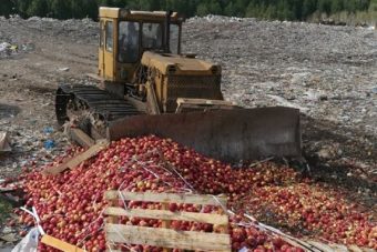 уничтожение санкционной продукции