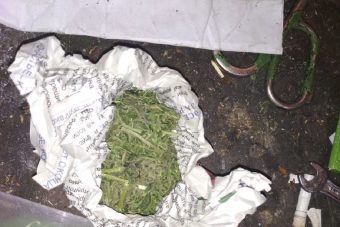 В Тверской области найдено полкилограмма марихуаны и конопли