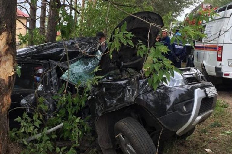 Под Тверью иномарку вынесло на обочину прямо в дерево: двое пострадавших