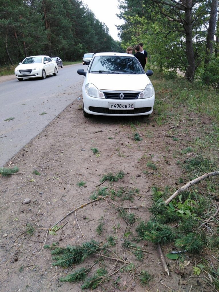Под Тверью иномарку вынесло на обочину прямо в дерево: двое пострадавших