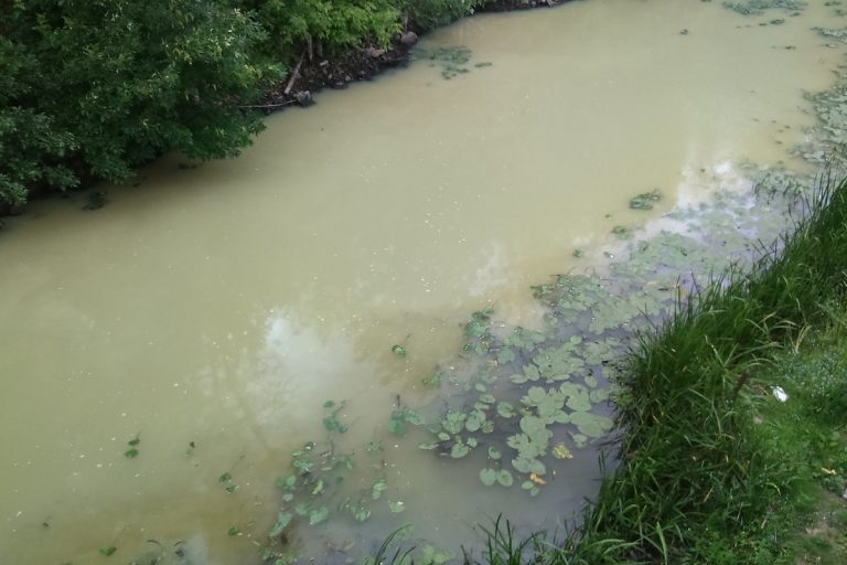Река Тьмака в Твери изменила цвет