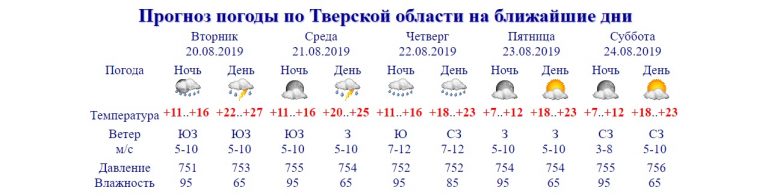 Гроза, ливневый дождь и ветер: 20 августа в Тверской области