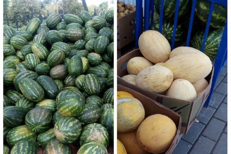 На рынках Твери и Старицы продавали арбузы и дыни без предупреждения
