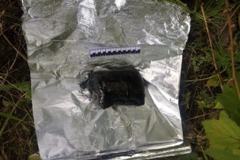 В Псковской области задержаны закладчики наркотиков, которыми руководила маляр из Твери