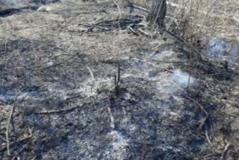 Благодаря МЧС, Тверь и трассу М-10 не заволокло едким дымом от торфяного пожара