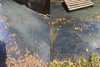 В Тверской области детей в садик вынуждены водить по канализационной реке