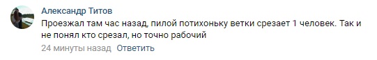 Сломанное дерево создает аварийную ситуацию в Твери