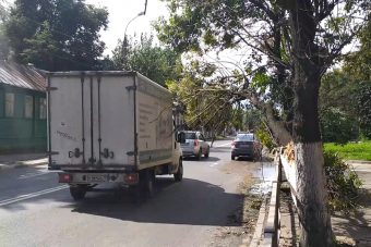 Сломанное дерево создает аварийную ситуацию в Твери