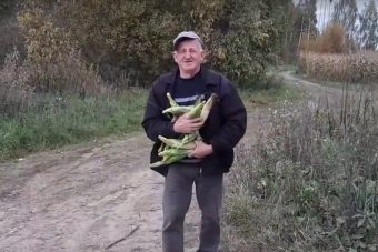 В Твери сотрудники "Почты России" воровали кукурузу
